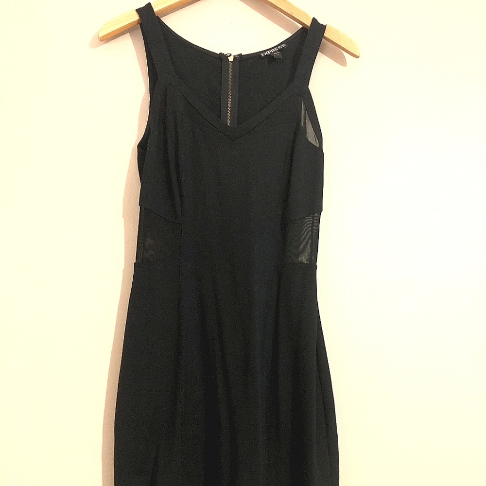 Express Mesh Panel Dress